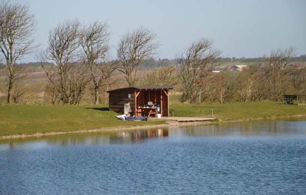 Feriehuse - Trend , Danmark - L50439 901