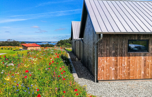 Ferienhaus - Hjarbæk Strand , Dänemark - L50507 2