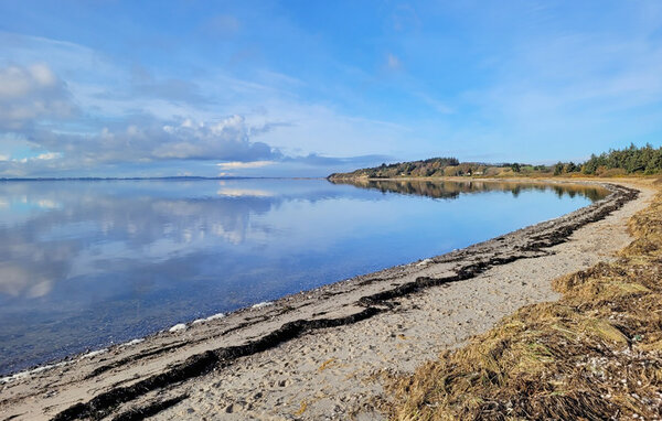 Feriehuse - Farsø / Limfjorden , Danmark - L50607 2