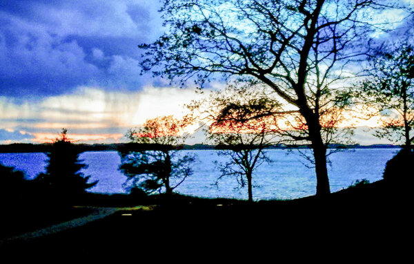 Feriehuse - Hjarbæk Strand , Danmark - L50809 901