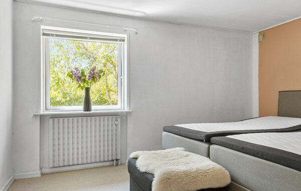 Ferienhaus - Stinesminde , Dänemark - L63305 601