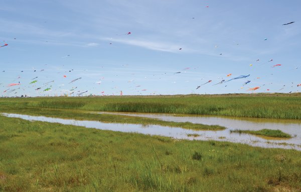 Semesterlägenhet - Fanø Bad , Danmark - M21007 904