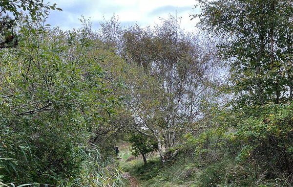 Vakantiehuis - Nyby , Denemarken - M21062 902