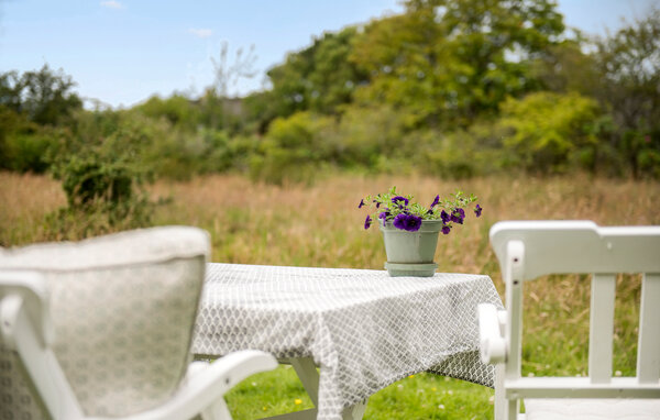 Domy wakacyjne - Sønderho , Dania - M21451 5