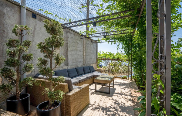 Apartament - Budva - Krimovice , Czarnogóra - MNB025 102