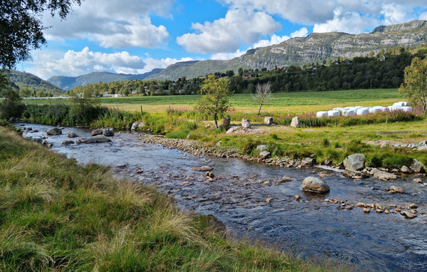 Feriehus - Stavtjørn/Bjerkreim , Norge - N15322 9