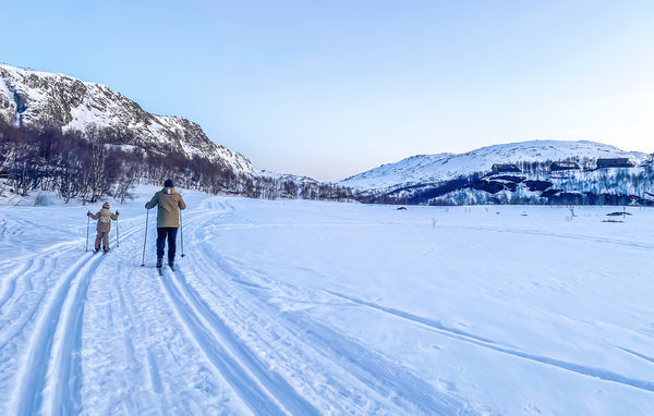 Semesterhus - Stavtjørn , Norge - N15323 903