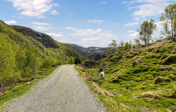 Semesterhus - Stavtjørn , Norge - N15323 906