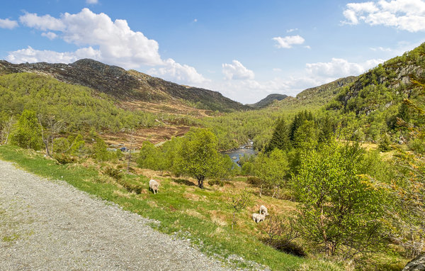 Semesterhus - Stavtjørn , Norge - N15323 907