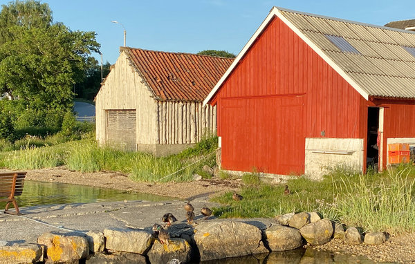 Semesterlägenhet - Sandnes , Norge - N15336 101