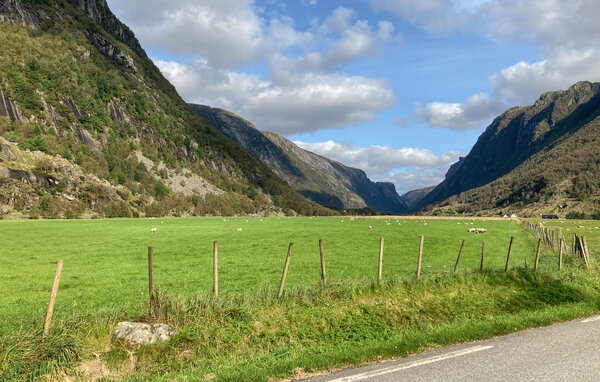 Ferienhaus - Vikeså , Norwegen - N15367 902