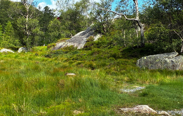 Ferienhaus - Stavtjørn/Bjerkreim , Norwegen - N15382 101