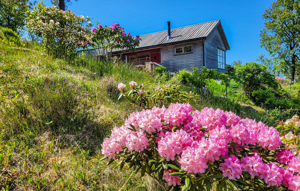 Feriehus - Ådnanes/Jørpeland/Strand , Norge - N16352 1