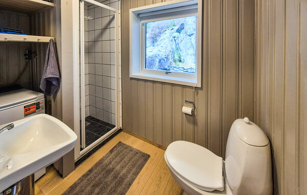 Semesterhus - Fister , Norge - N16454 702