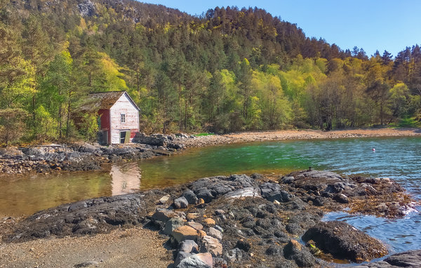 Domy wakacyjne - Bjoa , Norwegia - N17299 912