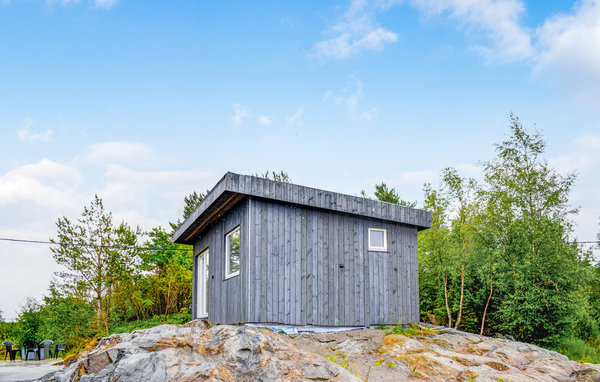 Domy wakacyjne - Bjoa , Norwegia - N17299 83