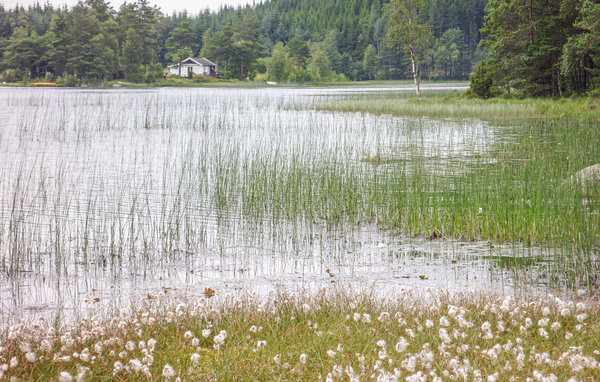 Kuća-za-odmor - Bjoavatnet/Bjoa , Norveska - N17388 107