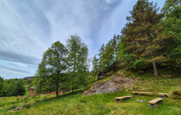 Feriehus - Nedre Vats , Norge - N17426 9