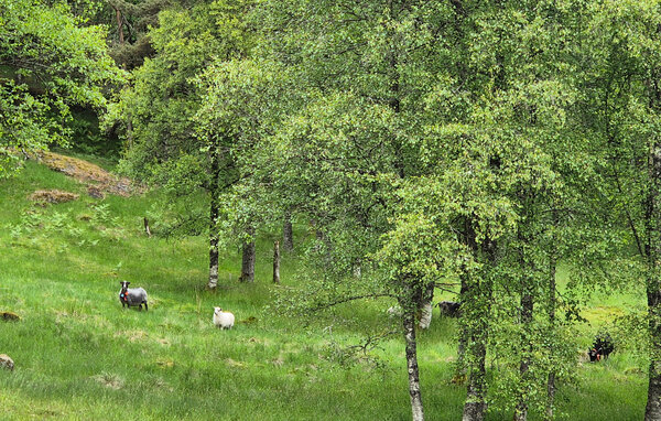 Feriehus - Nedre Vats , Norge - N17426 901