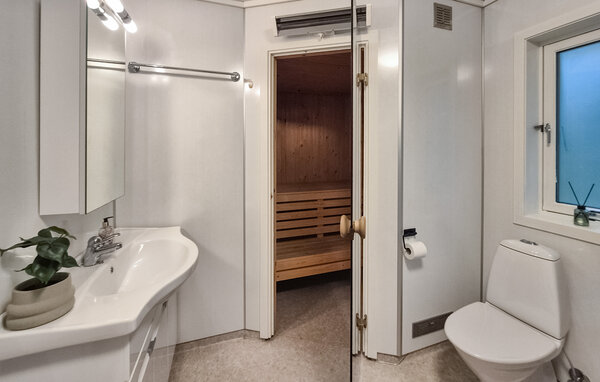 Ferienhaus - Liarvåg , Norwegen - N17503 701