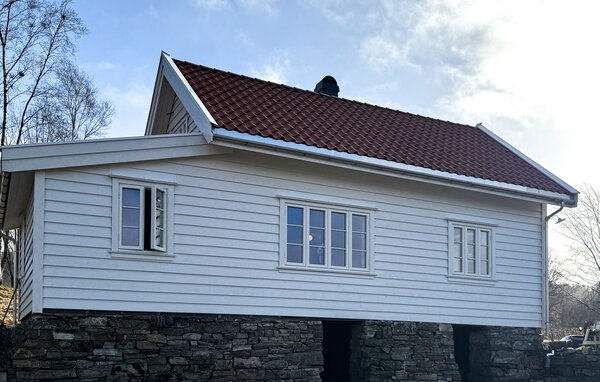 Ferienhaus - Vikebygd , Norwegen - N17508 8
