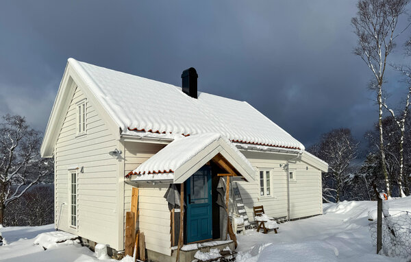 Ferienhaus - Vikebygd , Norwegen - N17508 81