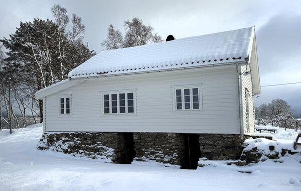 Ferienhaus - Vikebygd , Norwegen - N17508 82
