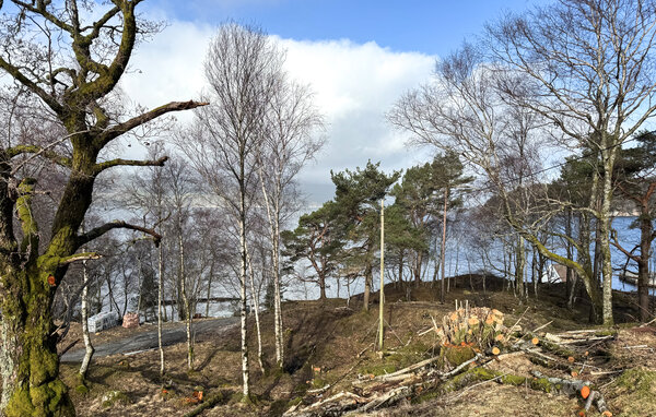 Ferienhaus - Vikebygd , Norwegen - N17508 2