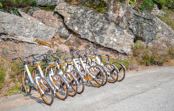 Feriehus - Nedstrand , Norge - N17514 803