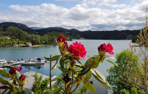 Ferienwohnung - Ålfjorden/Sveio , Norwegen - N18618 7