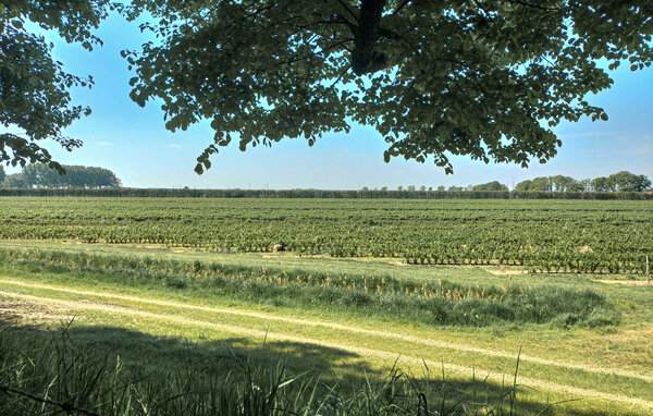 Feriehus - Mosterhamn , Norge - N18730 101