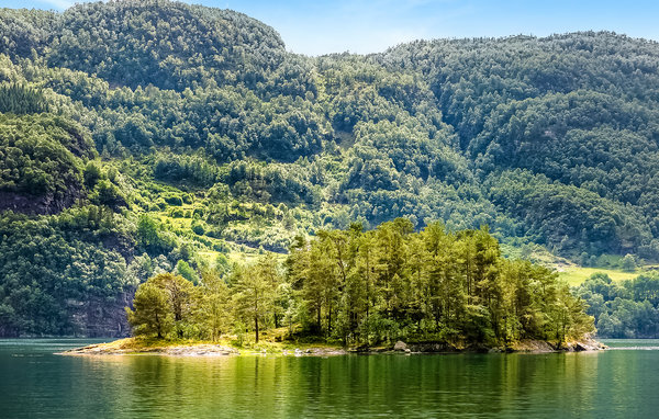 Ferienhaus Fjordvik 521837