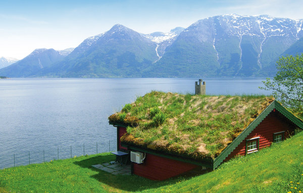 Ferienhaus - Utne , Norwegen - N19230 1