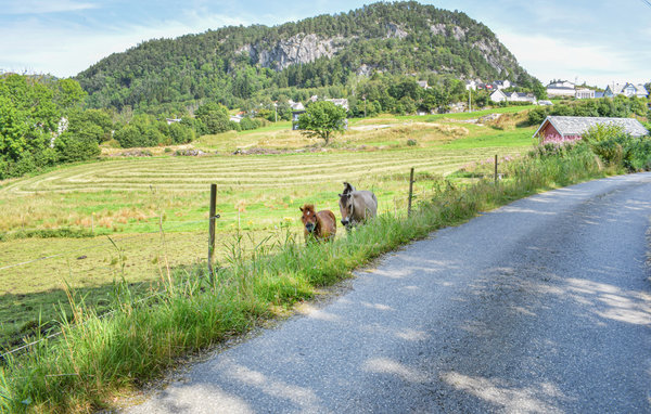 Ferienhaus - Vinnes/Fusa , Norwegen - N19283 901