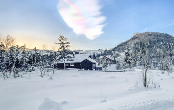Ferienhaus - Mødalsvegen/Kvamskogen , Norwegen - N19554 87