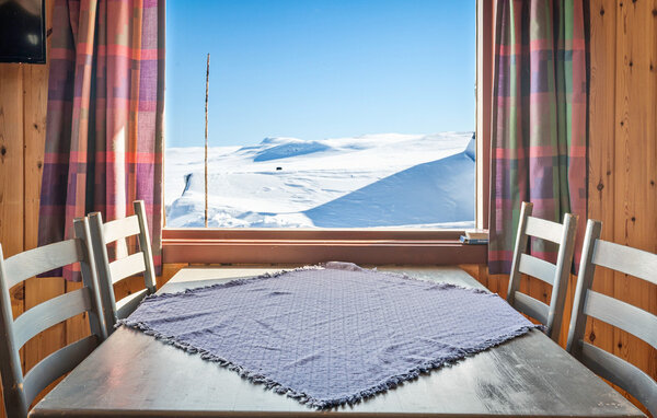 Holiday Home - Hardangervidda , Norway - N19651 401