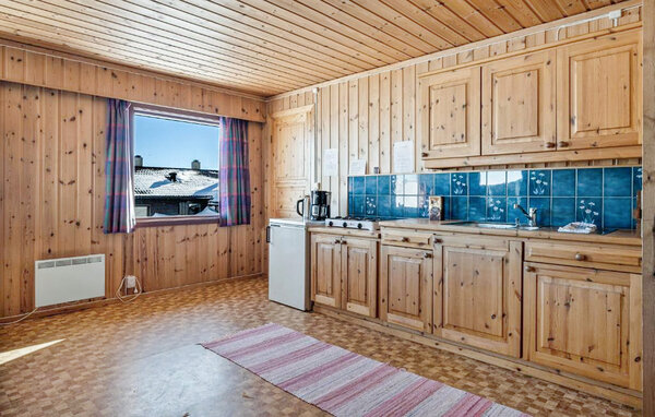 Holiday Home - Hardangervidda , Norway - N19651 402