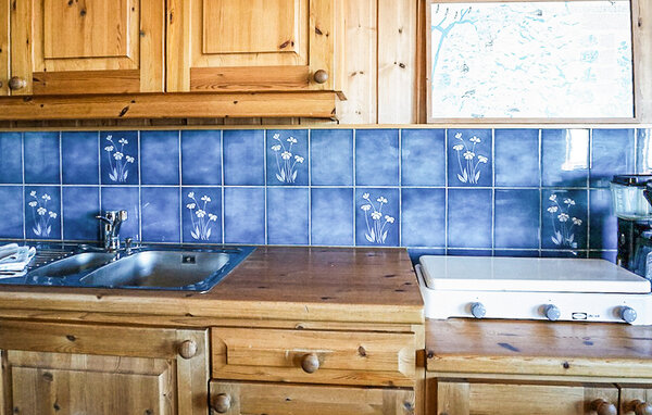 Holiday Home - Hardangervidda , Norway - N19651 403