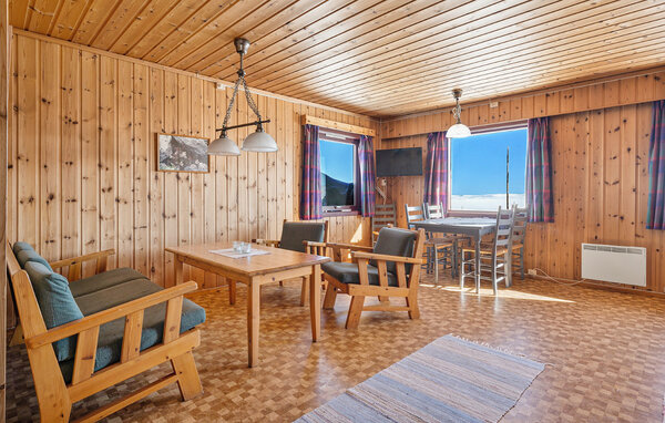 Holiday Home - Hardangervidda , Norway - N19651 301