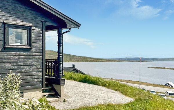 Domy wakacyjne - Hardangervidda , Norwegia - N19651 81