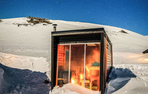 Holiday Home - Hardangervidda , Norway - N19651 101