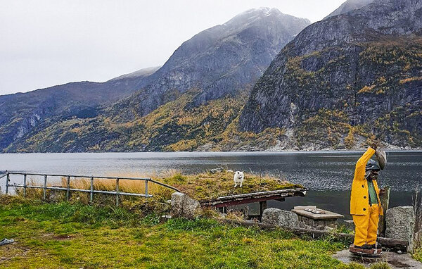 Ferienwohnung - Eidfjord , Norwegen - N19671 904