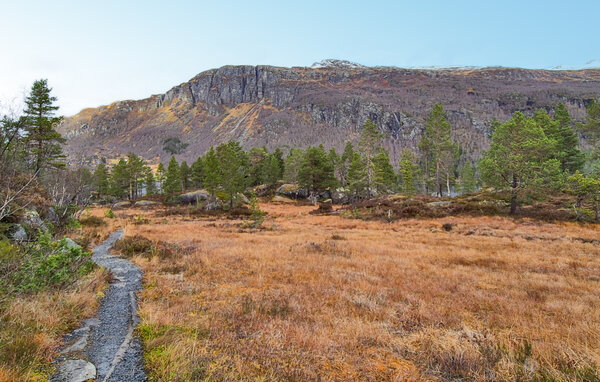 Ferienhaus - Seljestad , Norwegen - N19688 903