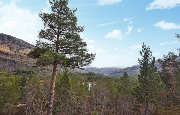 Ferienhaus - Seljestad , Norwegen - N19688 904