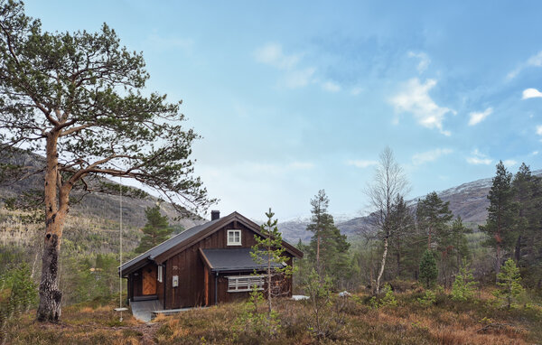 Ferienhaus - Seljestad , Norwegen - N19688 82