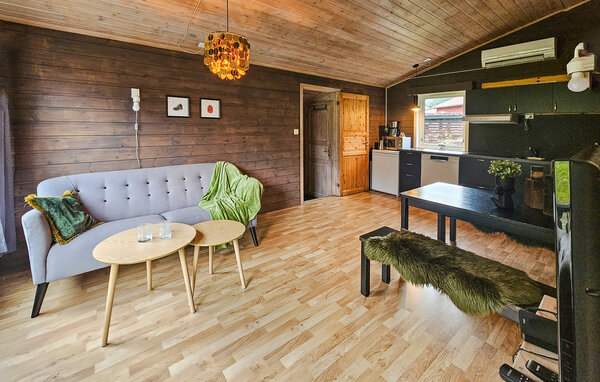 Feriehus - Røldal , Norge - N19711 4
