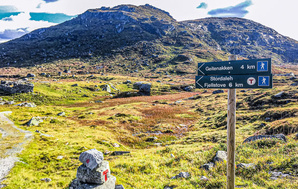 Casa de vacaciones - Stordalen/Matredal , Noruega - N20060 905