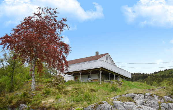 Feriehus - Nappane/Seim/Alver , Norge - N20383 1