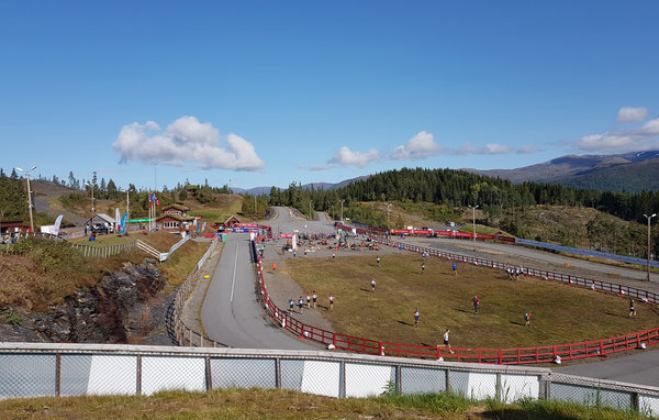 Domy wakacyjne - Himlesdalen/Voss , Norwegia - N20428 901