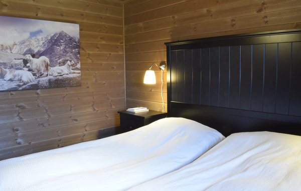 Domy wakacyjne - Himlesdalen/Voss , Norwegia - N20428 601